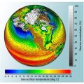 wymagania klimatyczne czosnku